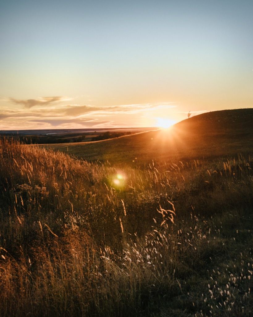 Golden sunset over open field with tall grass.