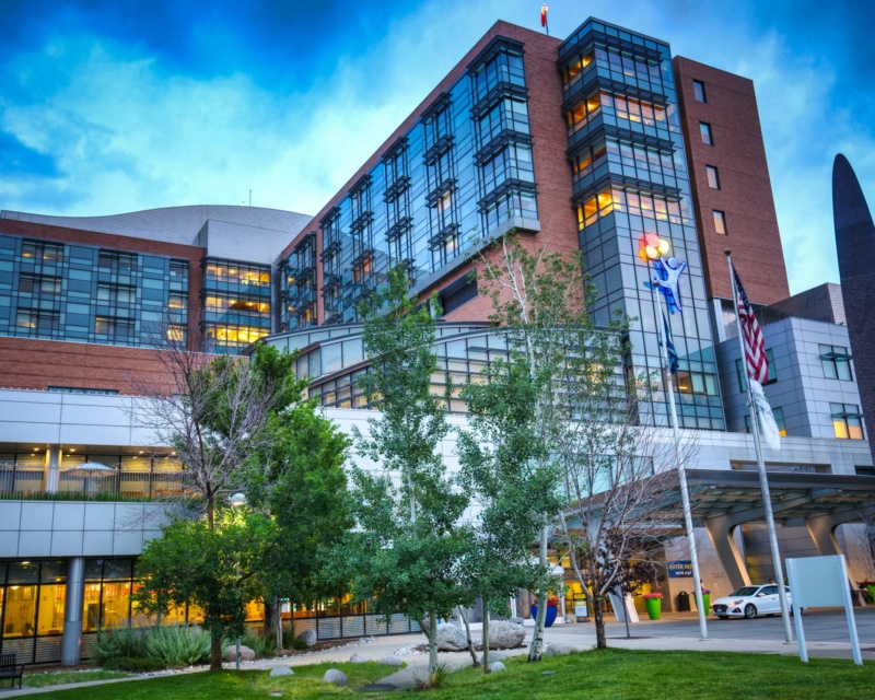 Hospital building