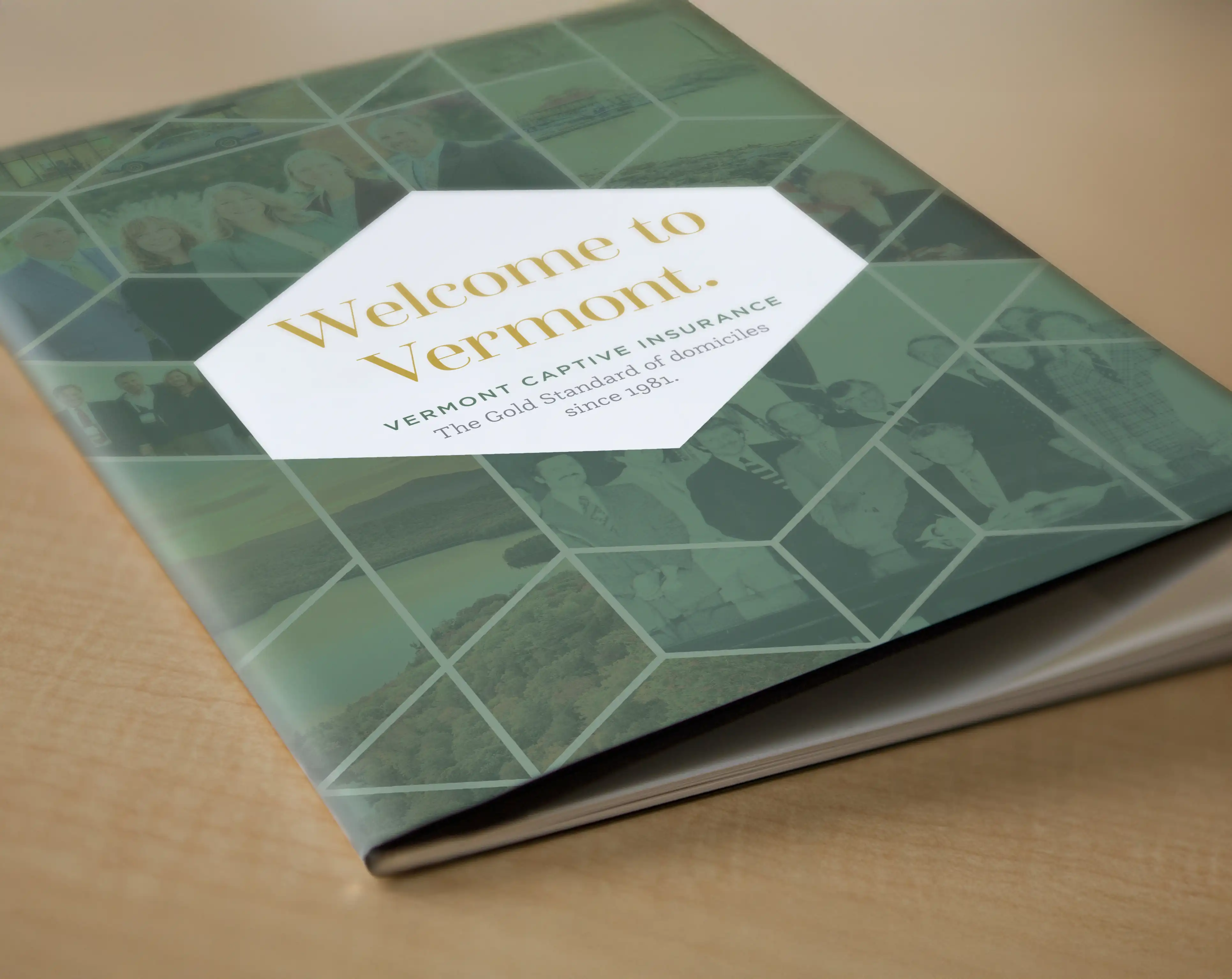 An information piece that Vermont Captive can take with them to events, mail prospective clients and more.