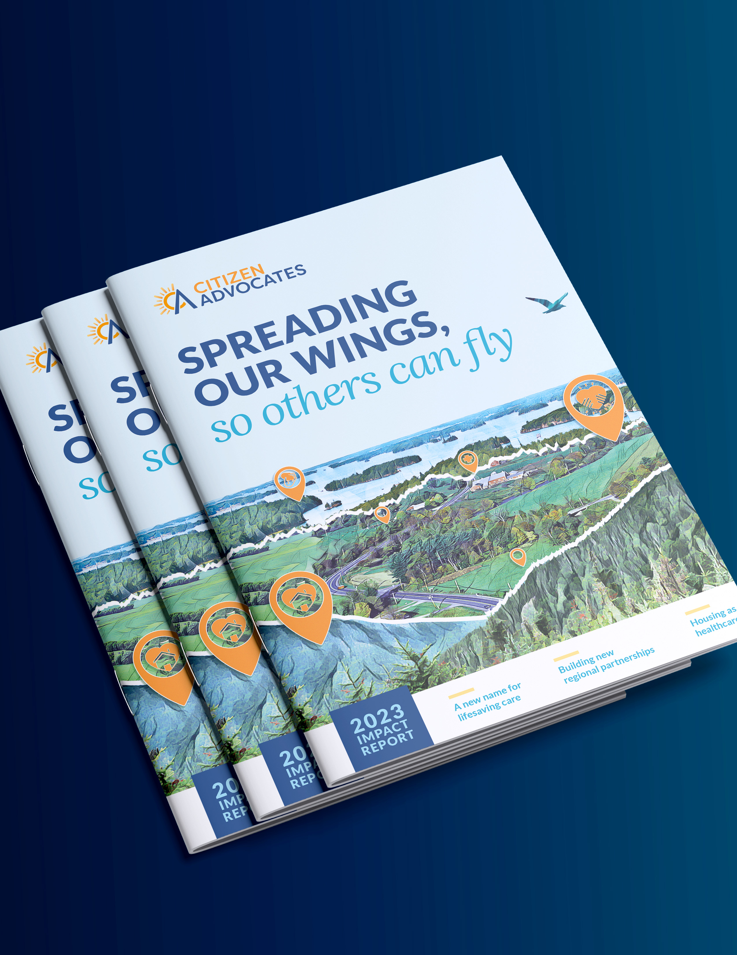 Stack of Citizen Advocates Impact Reports