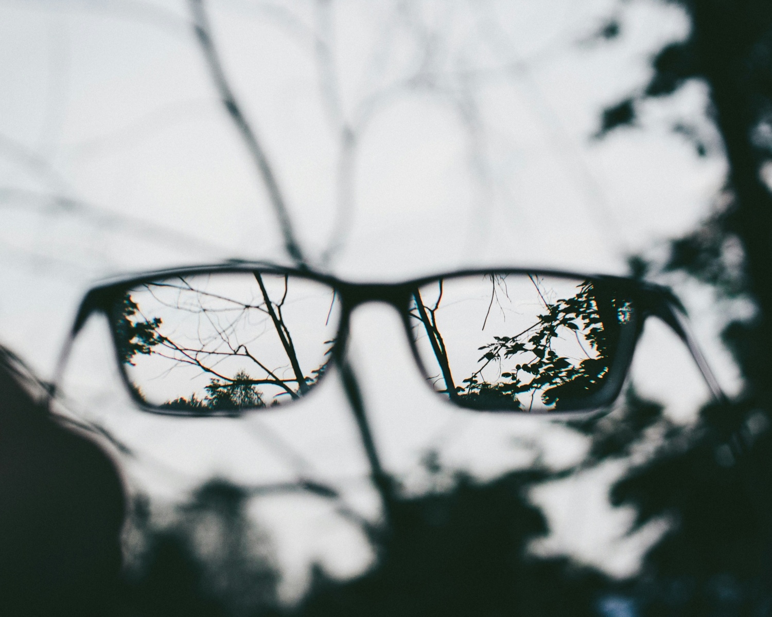 Glasses that are bringing a scene into focus