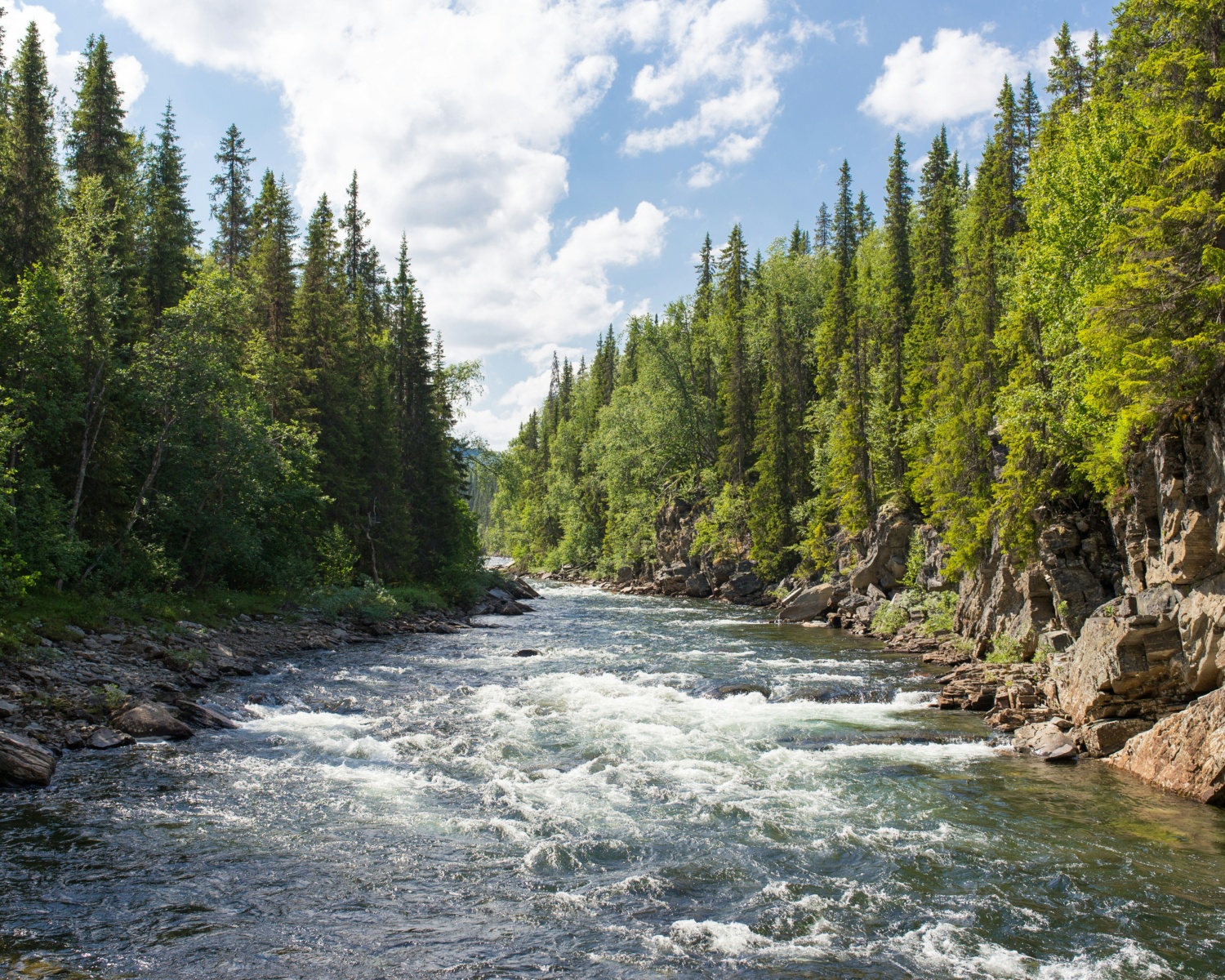 Looking upstream of a roaring river.